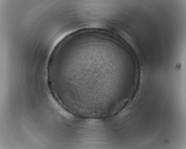 X0000112841024200908211236