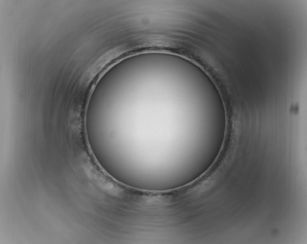 X0000112841025200908211236