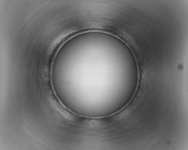 X0000112841027200908211236