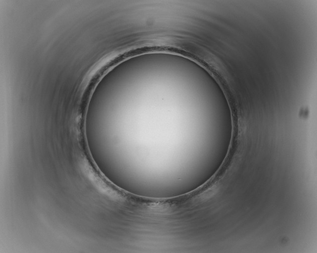 X0000112841029200908211236