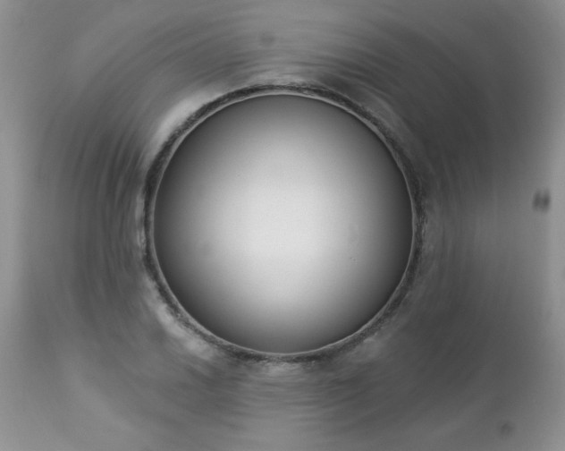 X0000112841030200908211236