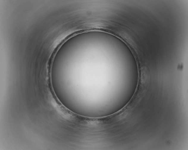 X0000112841031200908211236