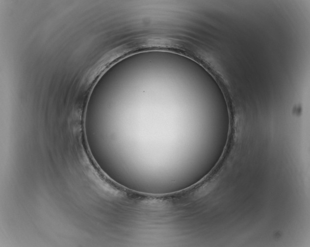 X0000112841033200908211236