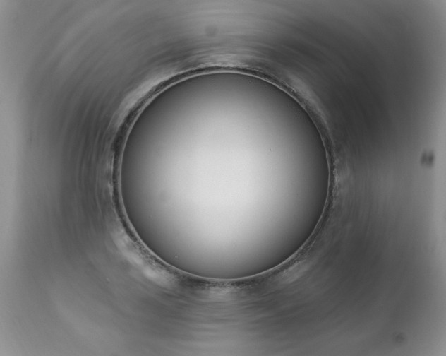 X0000112841035200908211236