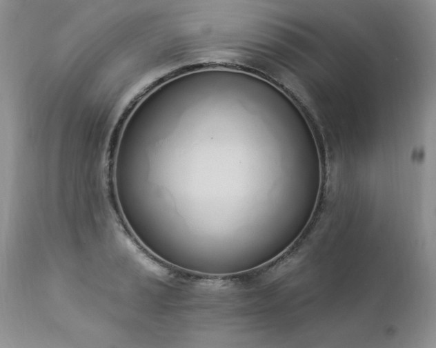 X0000112841037200908211236