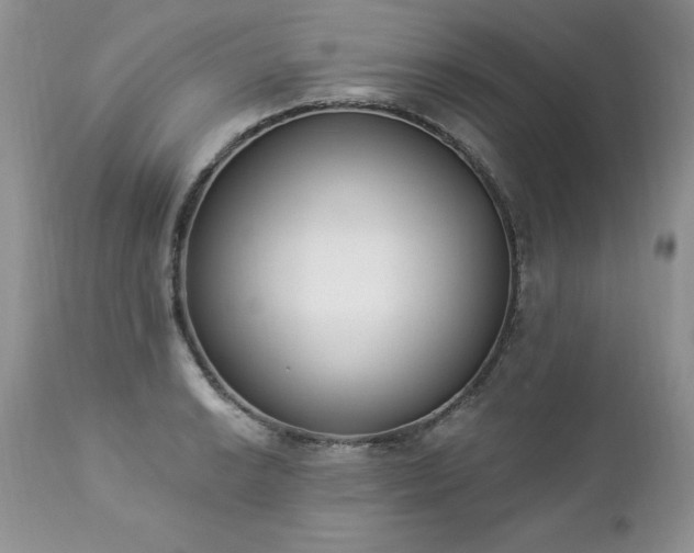 X0000112841038200908211236