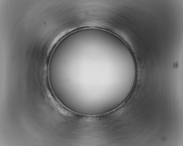 X0000112841040200908211236