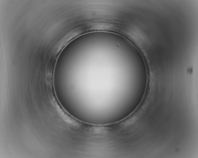 X0000112841041200908211236