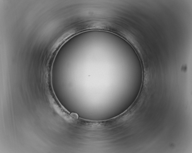 X0000112841042200908211236