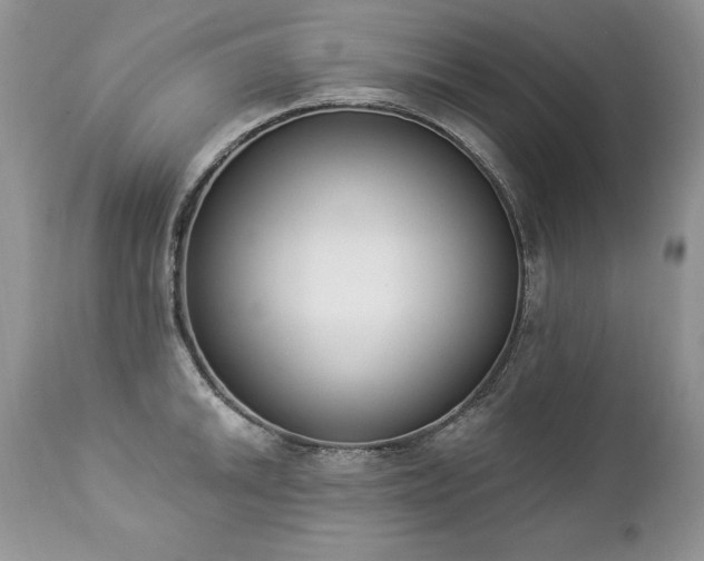 X0000112841046200908211236