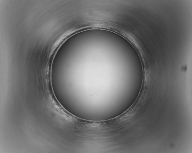 X0000112841048200908211236