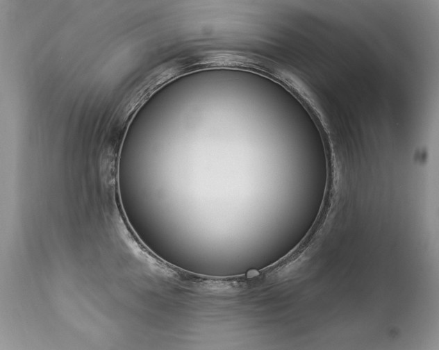 X0000112841049200908211236