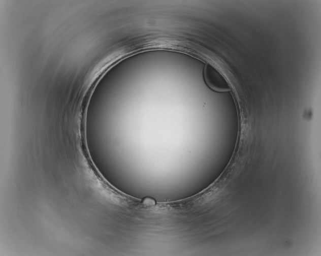 X0000112841050200908211236