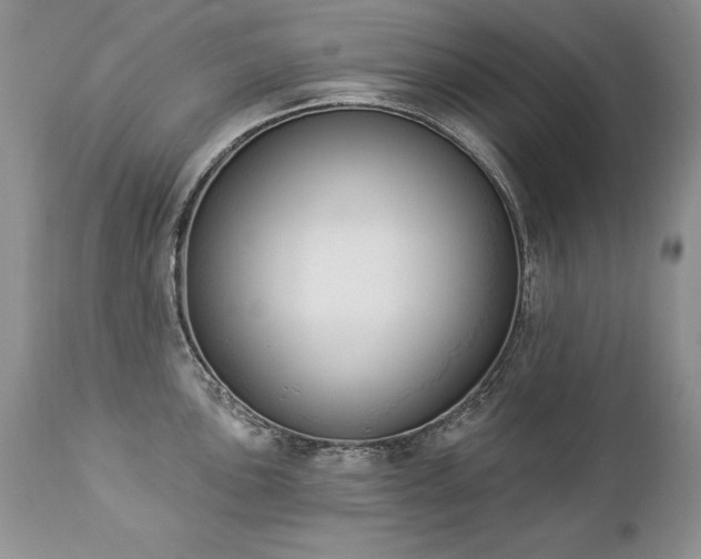 X0000112841051200908211236