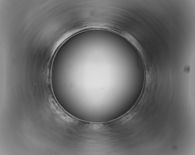 X0000112841052200908211236