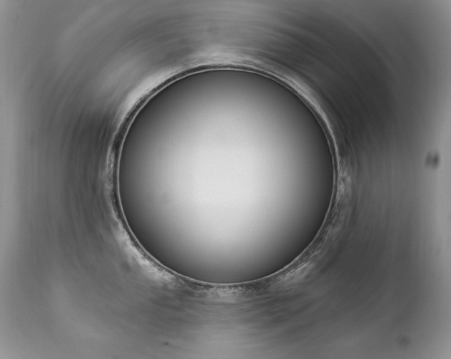 X0000112841053200908211236