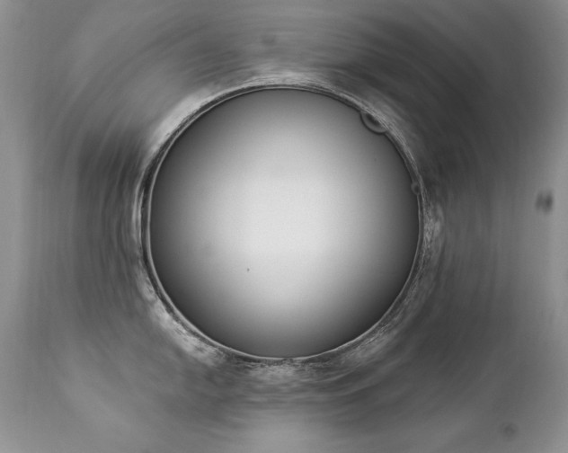 X0000112841054200908211236