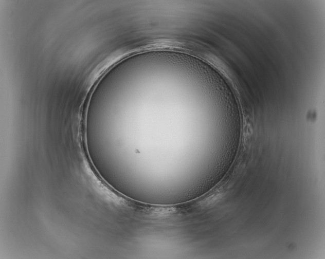 X0000112841055200908211236