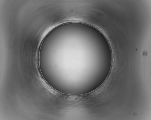 X0000112841056200908211236