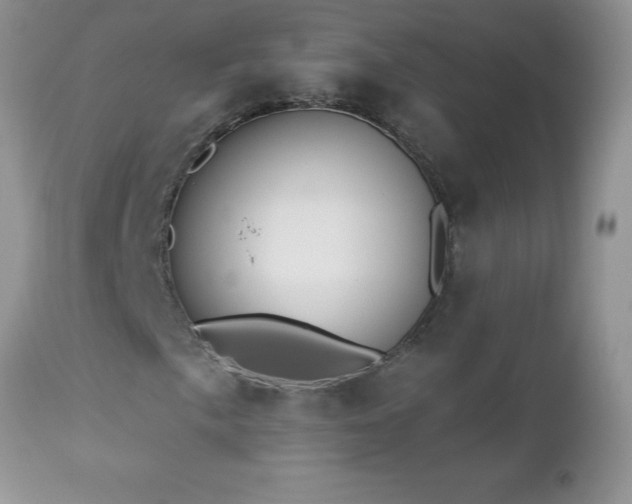 X0000112841057200908211235