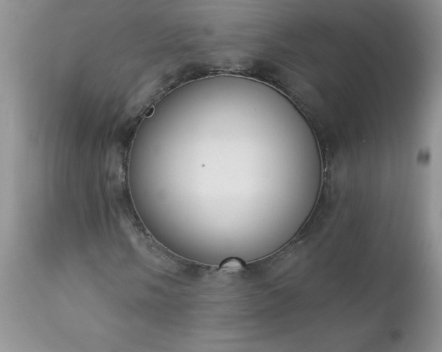 X0000112841058200908211235