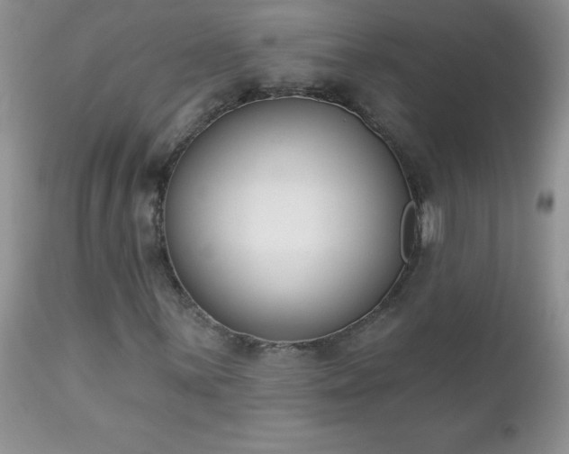 X0000112841059200908211235