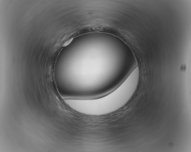 X0000112841060200908211235