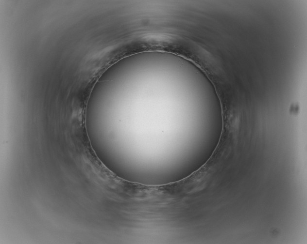 X0000112841061200908211235