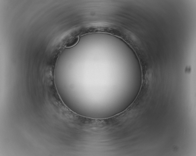 X0000112841062200908211235