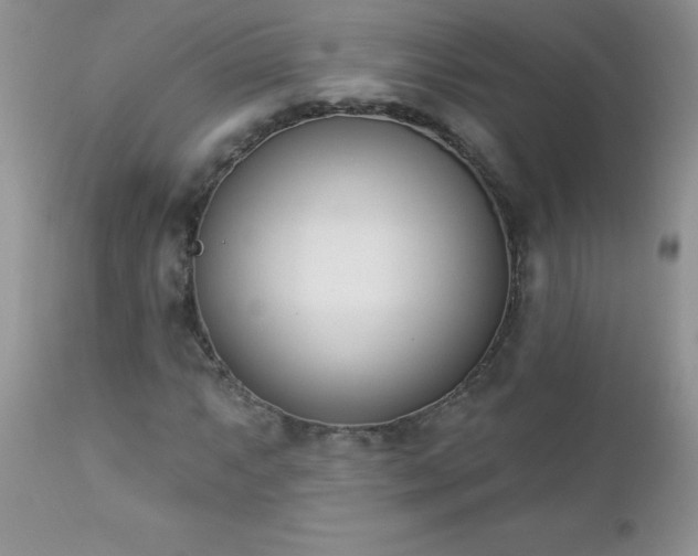 X0000112841063200908211235