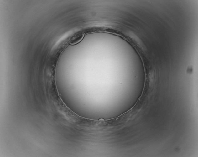 X0000112841064200908211235