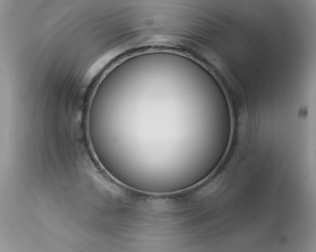 X0000112841066200908211235