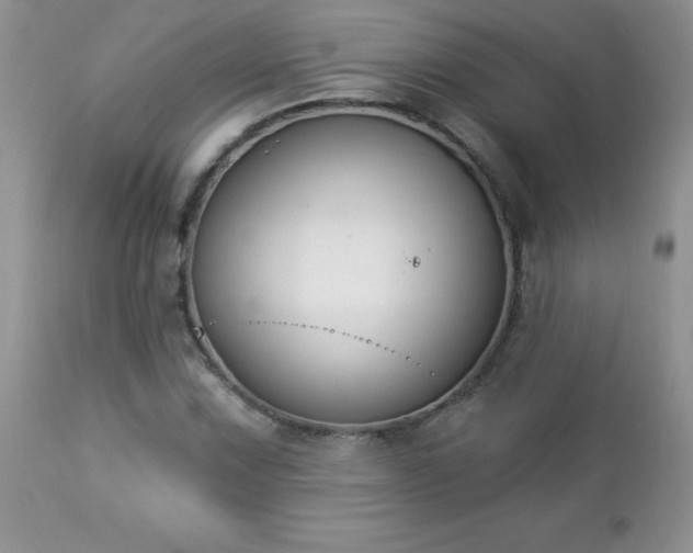 X0000112841067200908211235