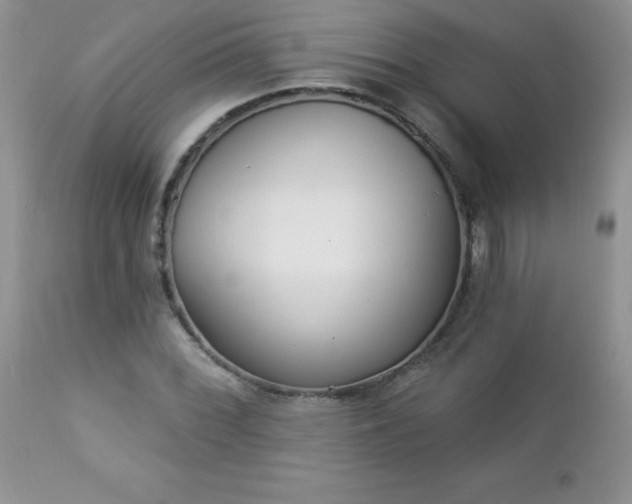 X0000112841068200908211235