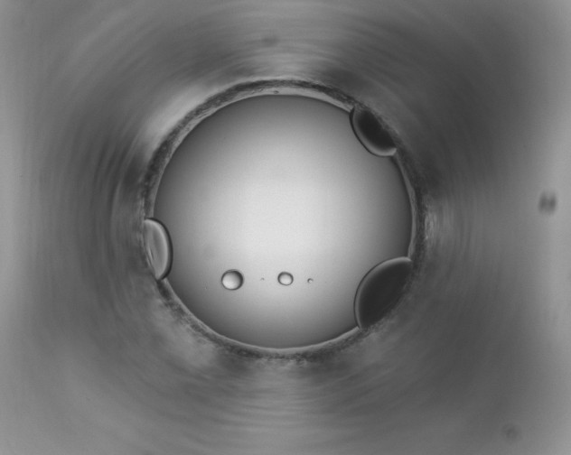 X0000112841069200908211235