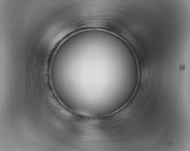 X0000112841071200908211235