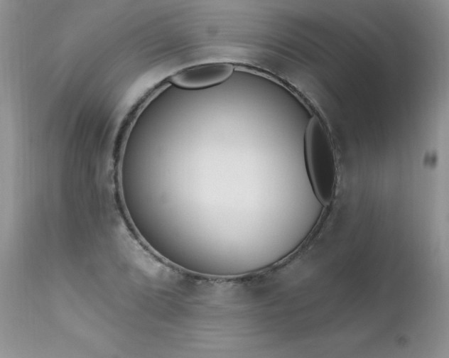 X0000112841072200908211235