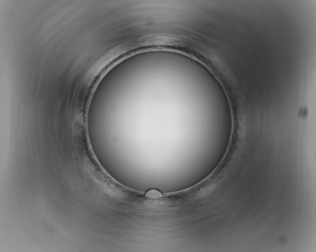 X0000112841073200908211235