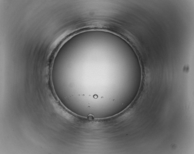 X0000112841075200908211235