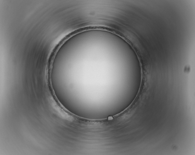 X0000112841076200908211235