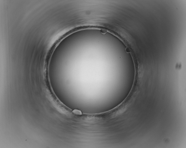 X0000112841077200908211235