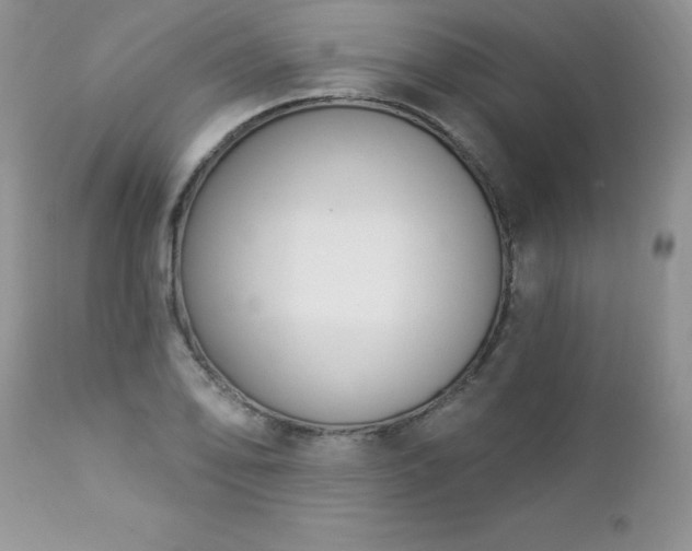 X0000112841078200908211235