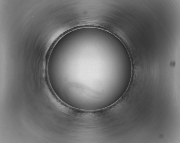 X0000112841079200908211235