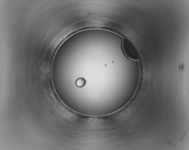 X0000112841081200908211235