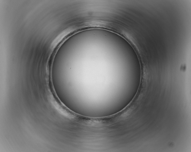 X0000112841082200908211235