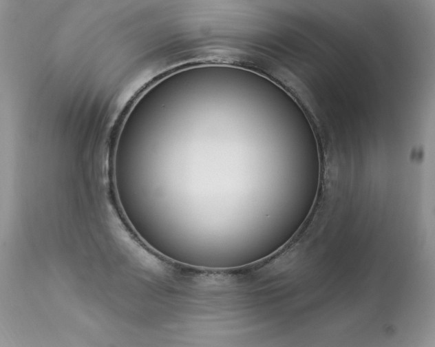 X0000112841083200908211235