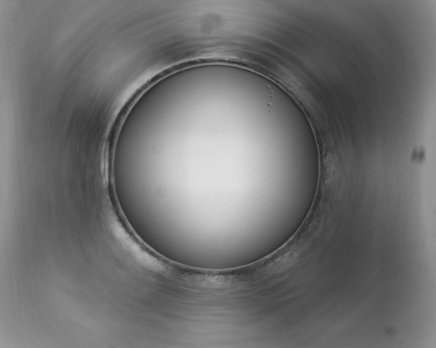 X0000112841084200908211235