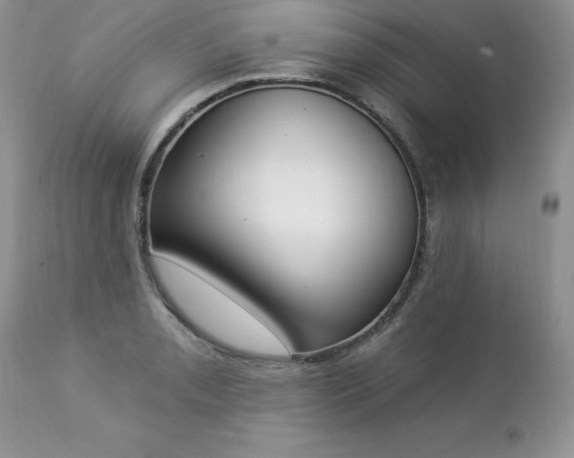 X0000112841085200908211235