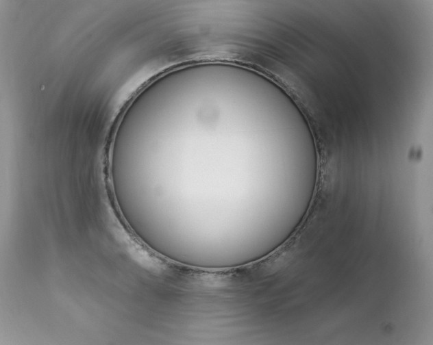 X0000112841086200908211235