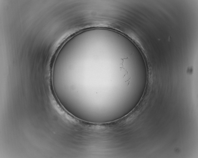 X0000112841088200908211235